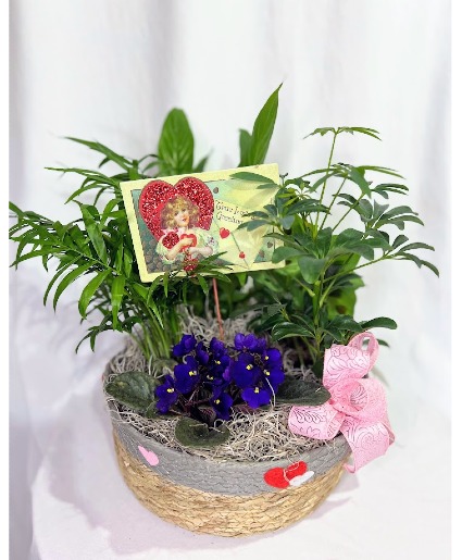 Valentine's Garden Basket 