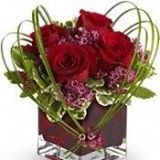 VALENTINES KISS