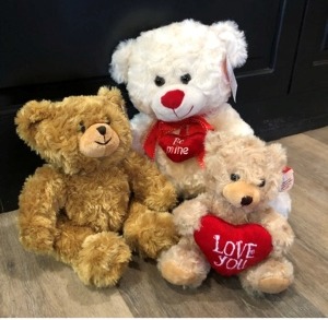 Valentines Plush Bears 