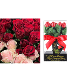 Valentine's Rose Bouquet Promo Floral Bouquet