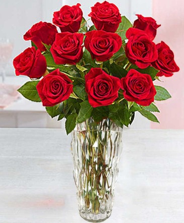 Dozen Premium Short Stem Red Roses  in Granger, IN | Yellow Rose Florist