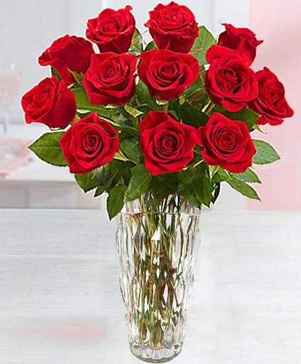 Dozen Premium Short Stem Red Roses 