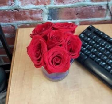 Red Rose Special Flowers Under $30 Valentines Flowers that won't break your budget. in Edmonton, AB | PETALS ON THE TRAIL