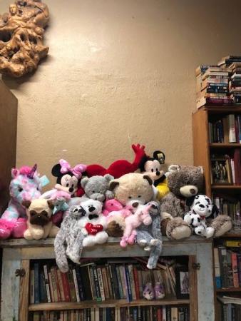 Valentine's Stuffed Animals 