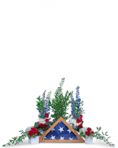 Valiant Tribute Sympathy