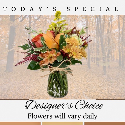 Deal of the Day!