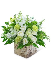 Vanilla Birch Flower Arrangement