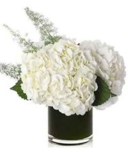 Vanilla Hydrangea Bouquet 