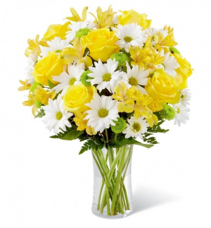 You are My Sunshine Vase Arrangement in Lebanon, NH | LEBANON GARDEN OF EDEN FLORAL SHOP You are My Sunshine Vase Arrangement in Lebanon, NH | LEBANON GARDEN OF EDEN FLORAL SHOP