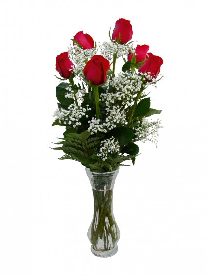 Vase of 1/2 Doz Red Roses