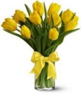 Vase of Yellow Tulips Fresh Flowers