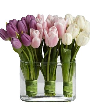 VELLISIMO MIX COLOR OF TULIPS