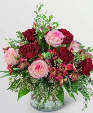 velvet kiss Arrangement