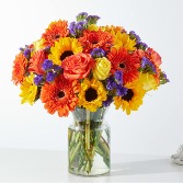 Verano Florecido #PLA8D Everyday Occasion Arrangement