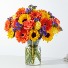 Verano Florecido #PLA8D Everyday Occasion Arrangement