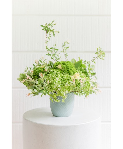Verdant Whisper 