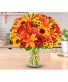 VERY AUTMN BLOOMS FALLS O AUTUMN  Shown at $75.99