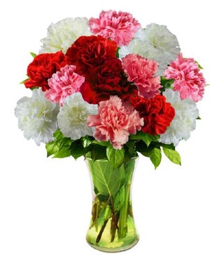 Very Berry Carnations  