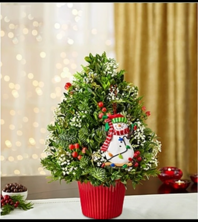 Very Berry Christmas Tree™ Arrangement in Croton On Hudson, NY - Cooke ...