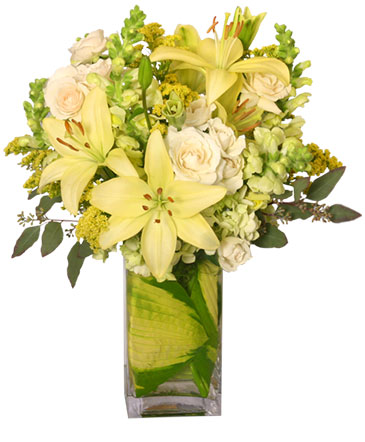 VERY SPECIAL DELIVERY Bouquet in Vermillion, SD | Pied Piper Vermillion Flowers & Gifts