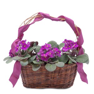 Very Violet Basket Basket