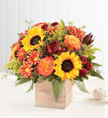 Vibrant Autumn In Keepsake Wood Box in Gainesville, FL | PRANGE'S FLORIST