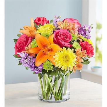 Vibrant Beauty™ Bouquet  in Cypress, TX | Spring Cypress Flowers