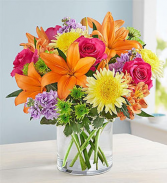 Vibrant Beauty Vase arrangement