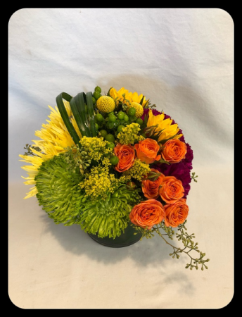 Vibrant Blooms