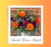 Vibrant Blooms Basket 