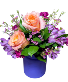 Vibrant Blooms In Purple Hue Everyday