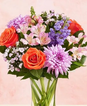 Vibrant Charm  spring 