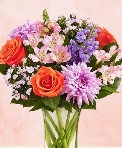 Vibrant Charm spring