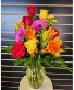 Vibrant Colors 