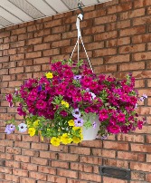 Vibrant Flowering Planter 