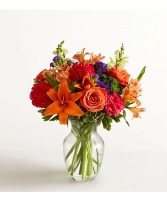 vibrant flowers  