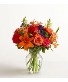 vibrant flowers  