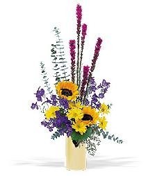 Vibrant Fresh