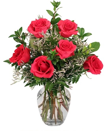 Vibrant Fuchsia Roses Rose Arrangement in Lancaster, MA | The Flower Shop at Dimeco's