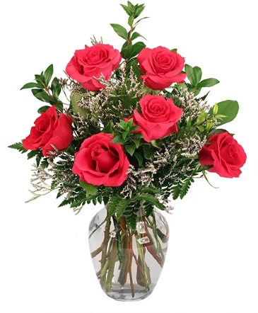 Vibrant Fuchsia Roses Rose Arrangement in Sterling, IL | Lundstrom Florist