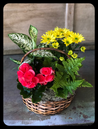 Vibrant Garden Basket