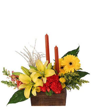 Vibrant & Glowing Centerpiece  in Warsaw, IN | ANDERSON FLORIST & GREENHOUSE
