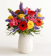 Vibrant Harmony   26-52 