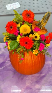 Vibrant Harvest Blooming Pumpkin (Small) Designer's Choice Specialty