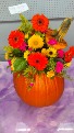 Vibrant Harvest Blooming Pumpkin (Small) Designer's Choice Specialty