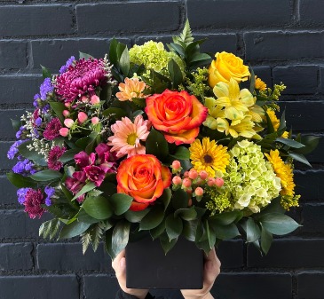 Vibrant Hues