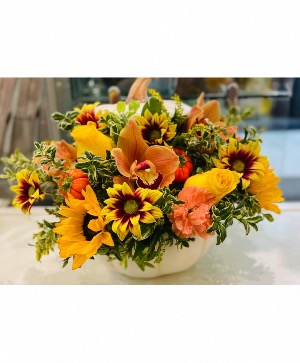 Vibrant Hues Fall Pumpkin  Thanksgiving 