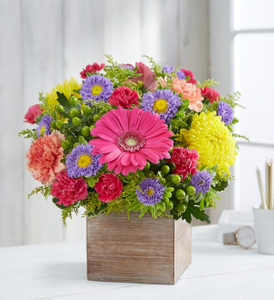 Vibrant Jewel  176885 