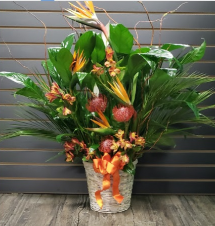 Vibrant Life (Customization Available)  Peace Lily with Fresh Cut Flowers