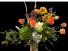 Vibrant Mix of Blooms Mixed Designers Choice
